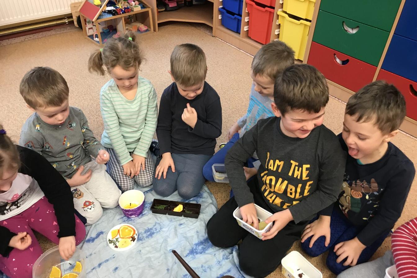 SOVIČKY: ,,VOŇAVÉ OZDOBY Z LEDU"