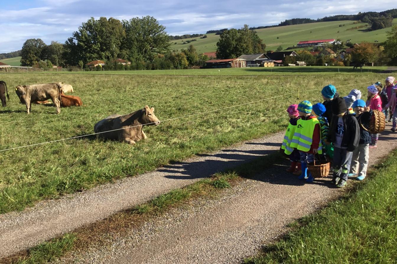 "Kam chodí broučci spát"
