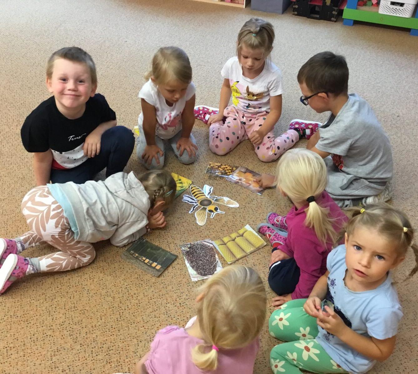 týdenní projekt: ,,od kytičky k medu" - 1