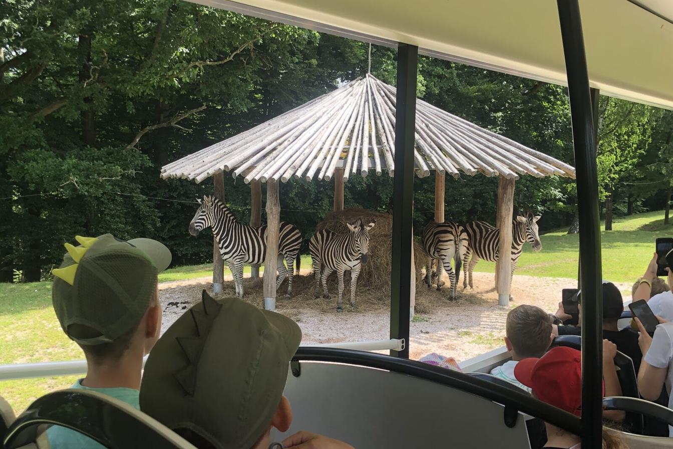 17. 6. Druháčci a třeťáčci v Safari Parku Dvůr Králové