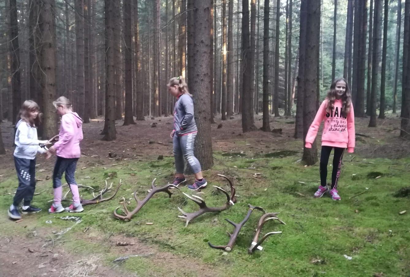 Do lesa s lesníkem - 6