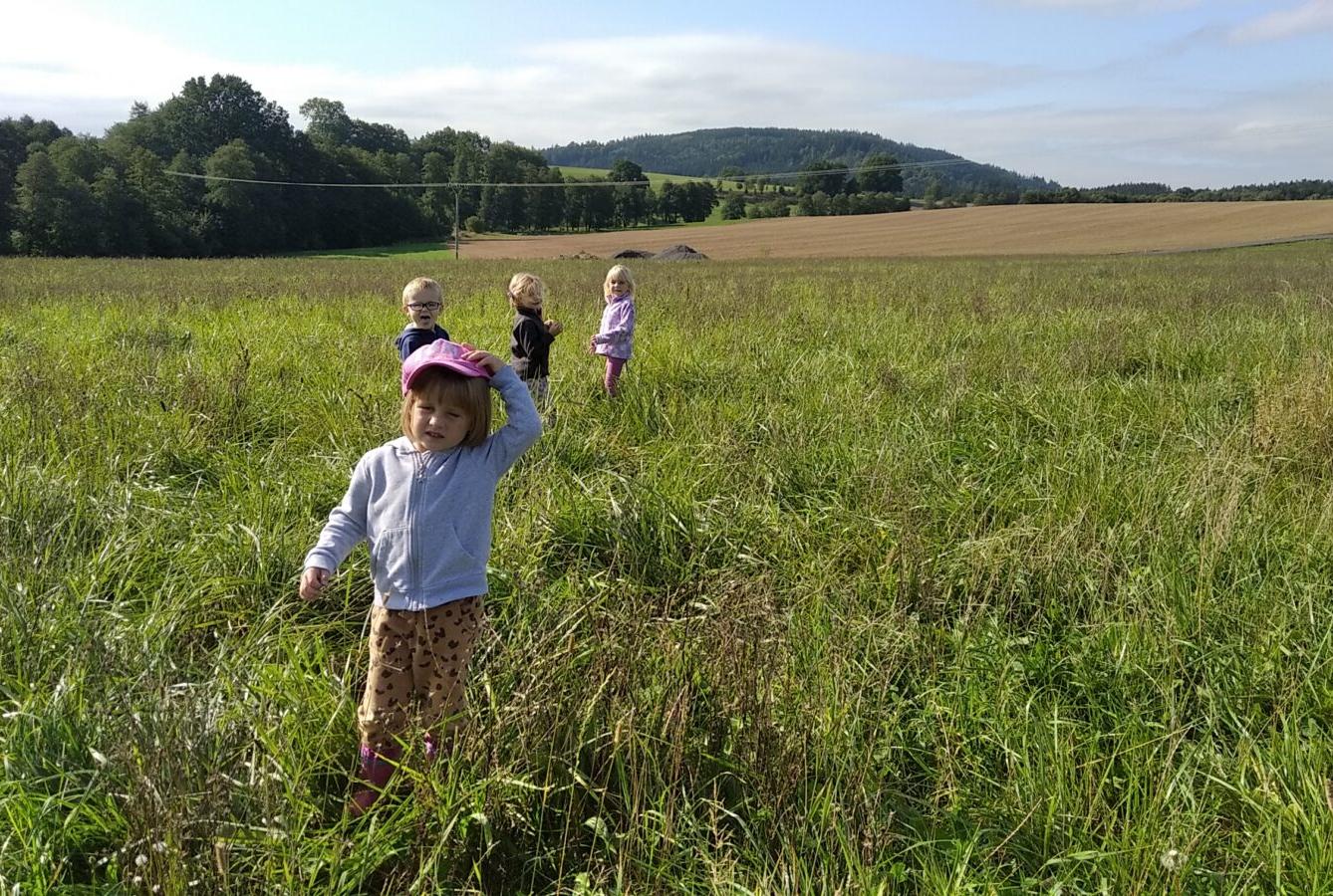 broučci: lesní dobrodružství se sovičkou jůlinkou - 7