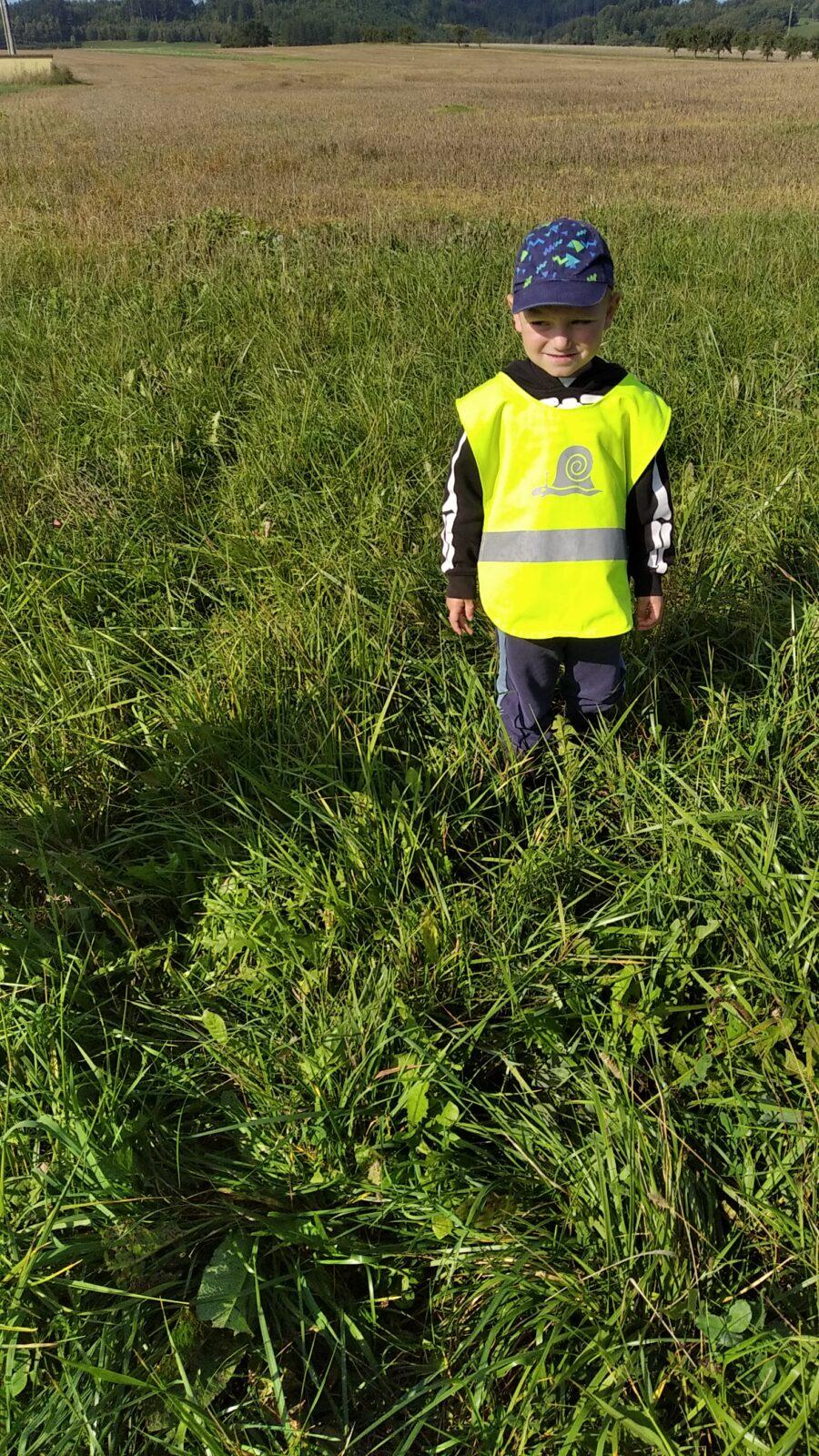 broučci: lesní dobrodružství se sovičkou jůlinkou - 8