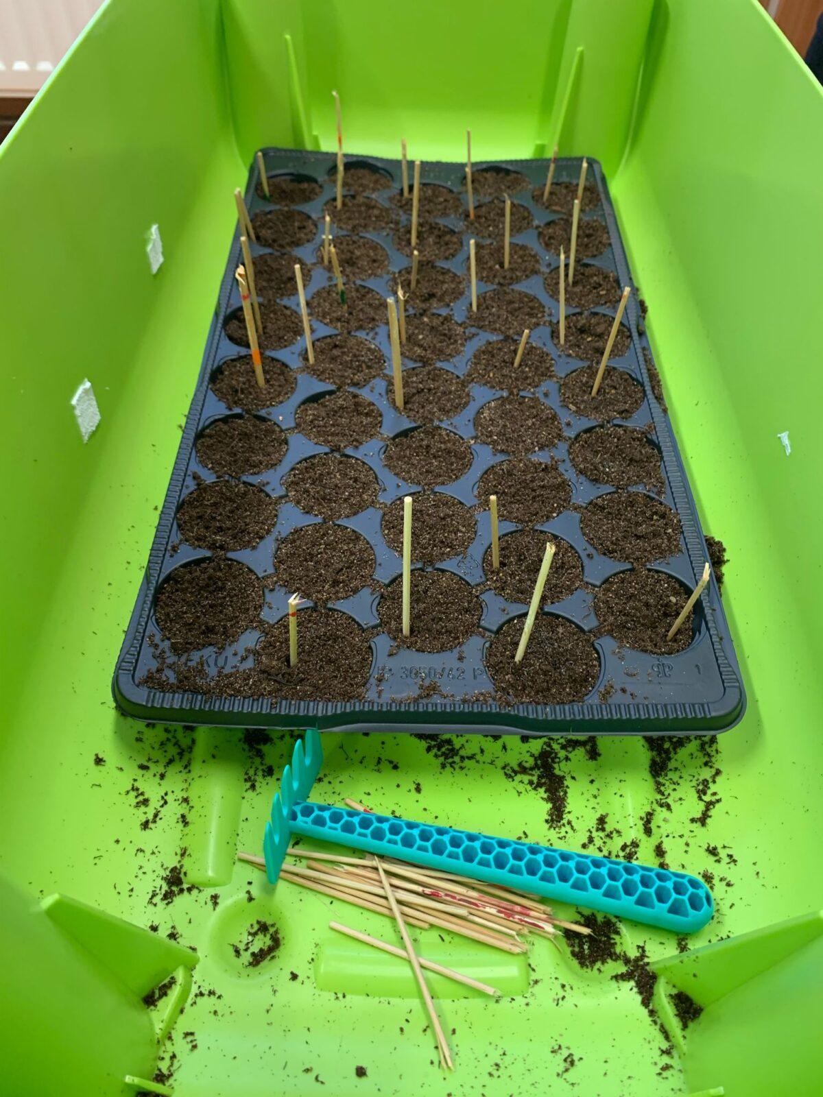 malí zahradníčci - 1