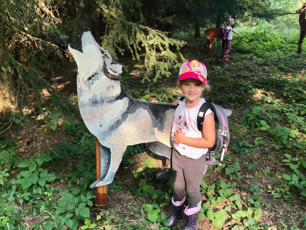 SOVIČKY: VÝPRAVA DO LESA - 6