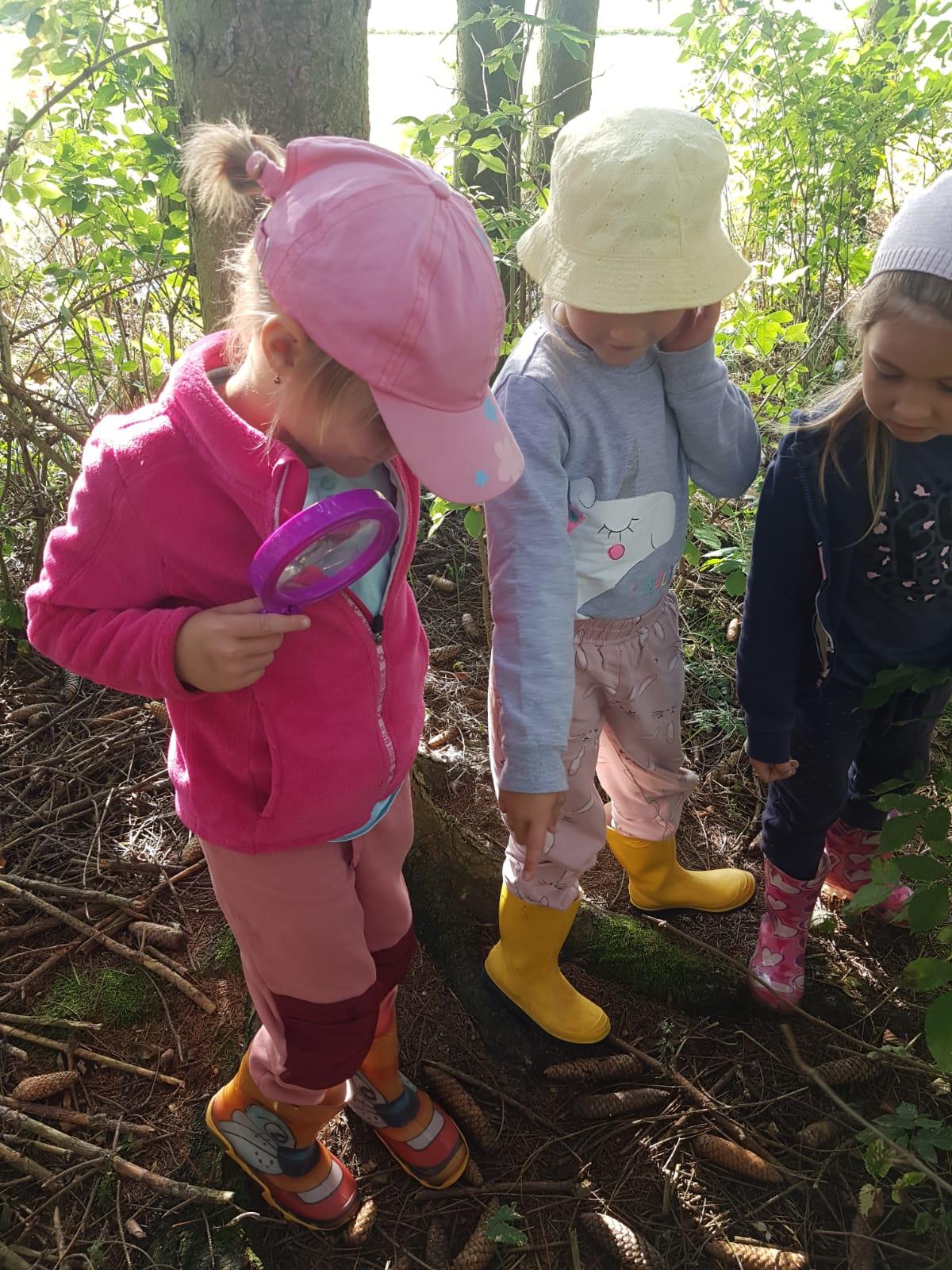 SOVIČKY: LES NÁS BAVÍ - 8