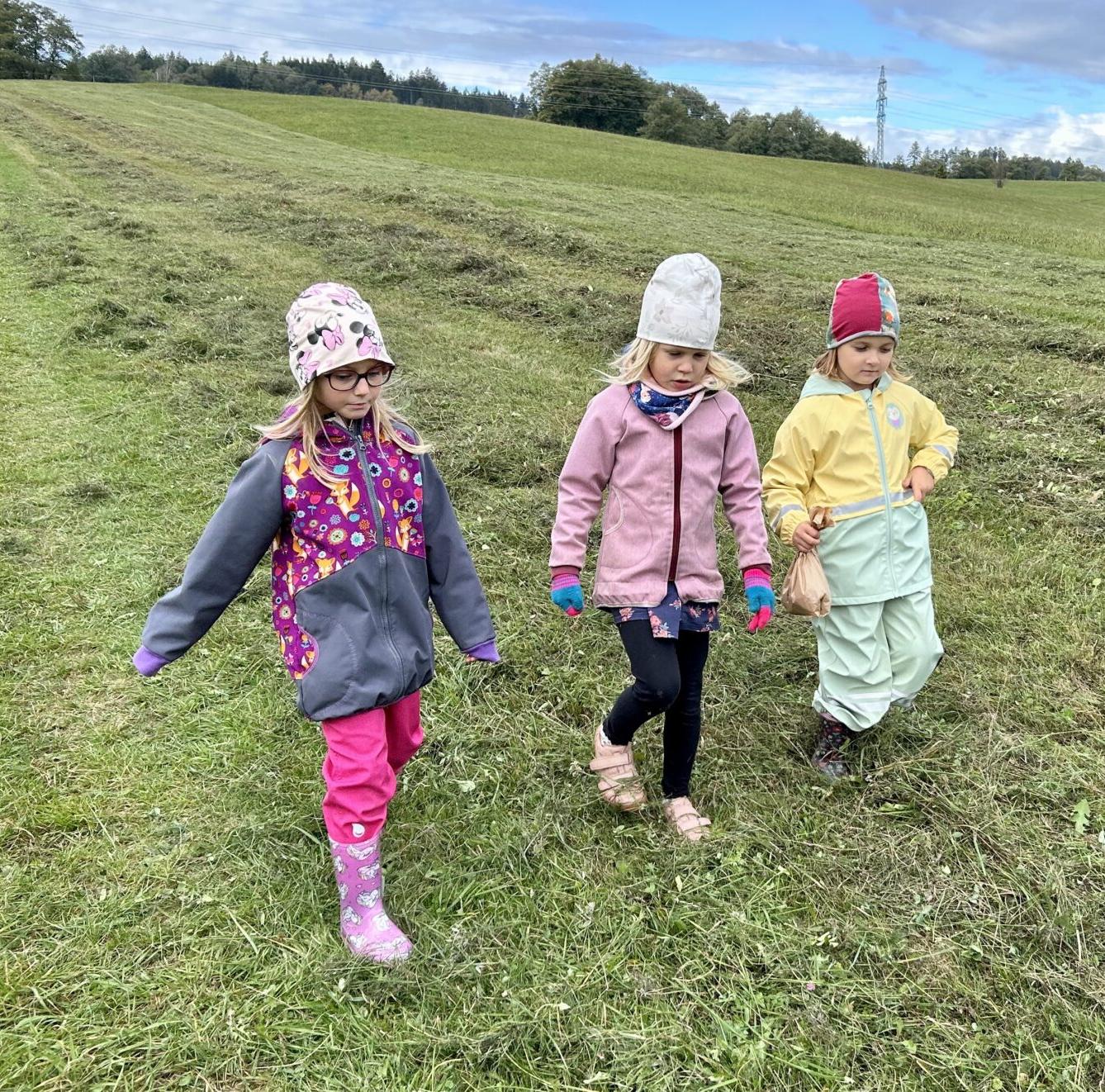 SOVIČKY: DARY PODZIMU - 10