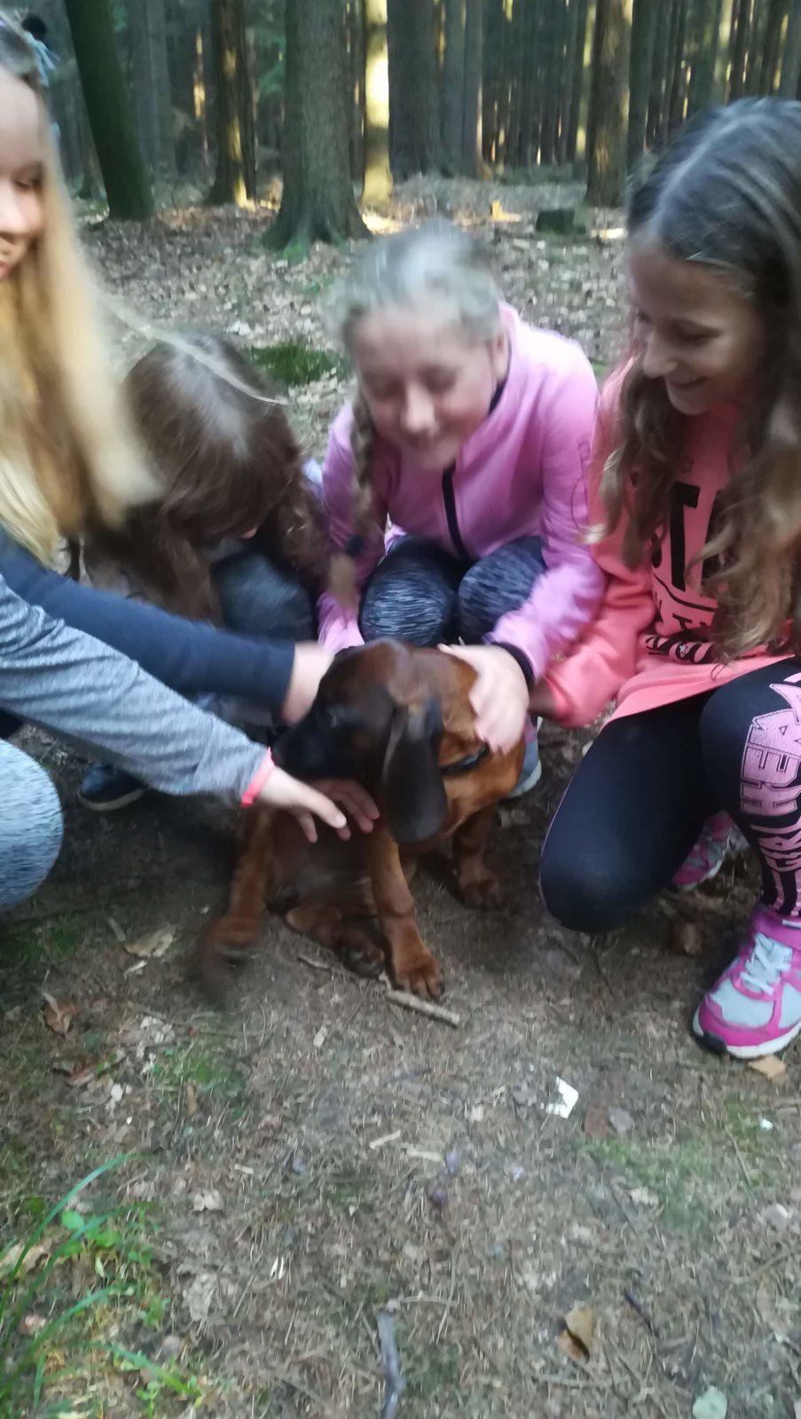 Do lesa s lesníkem - 8