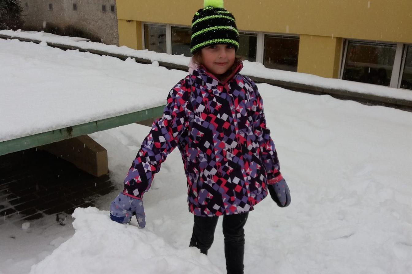 Měsíc leden ve II. oddělení