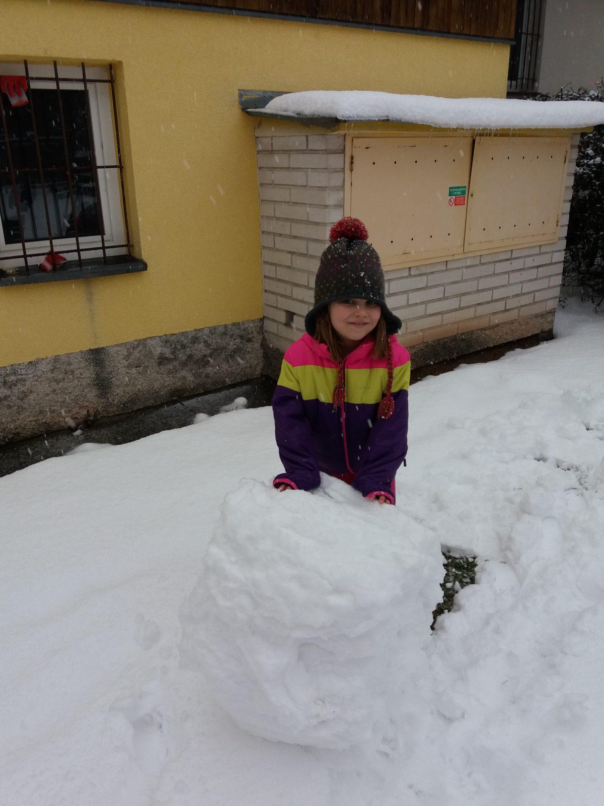 Měsíc leden ve II. oddělení - 2