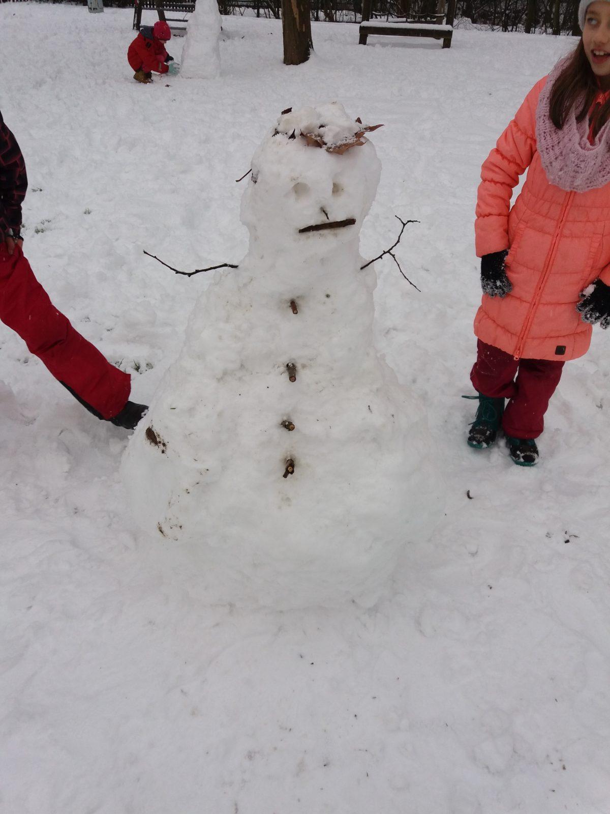 Měsíc leden ve II. oddělení - 5