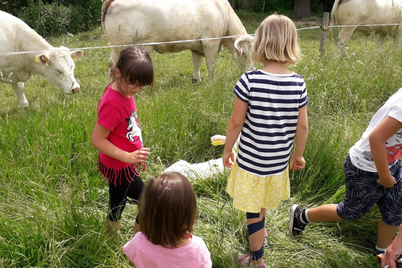 Červen - I. oddělení