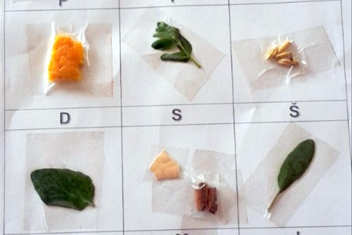 Příroda u třeťáčků 30. 5.