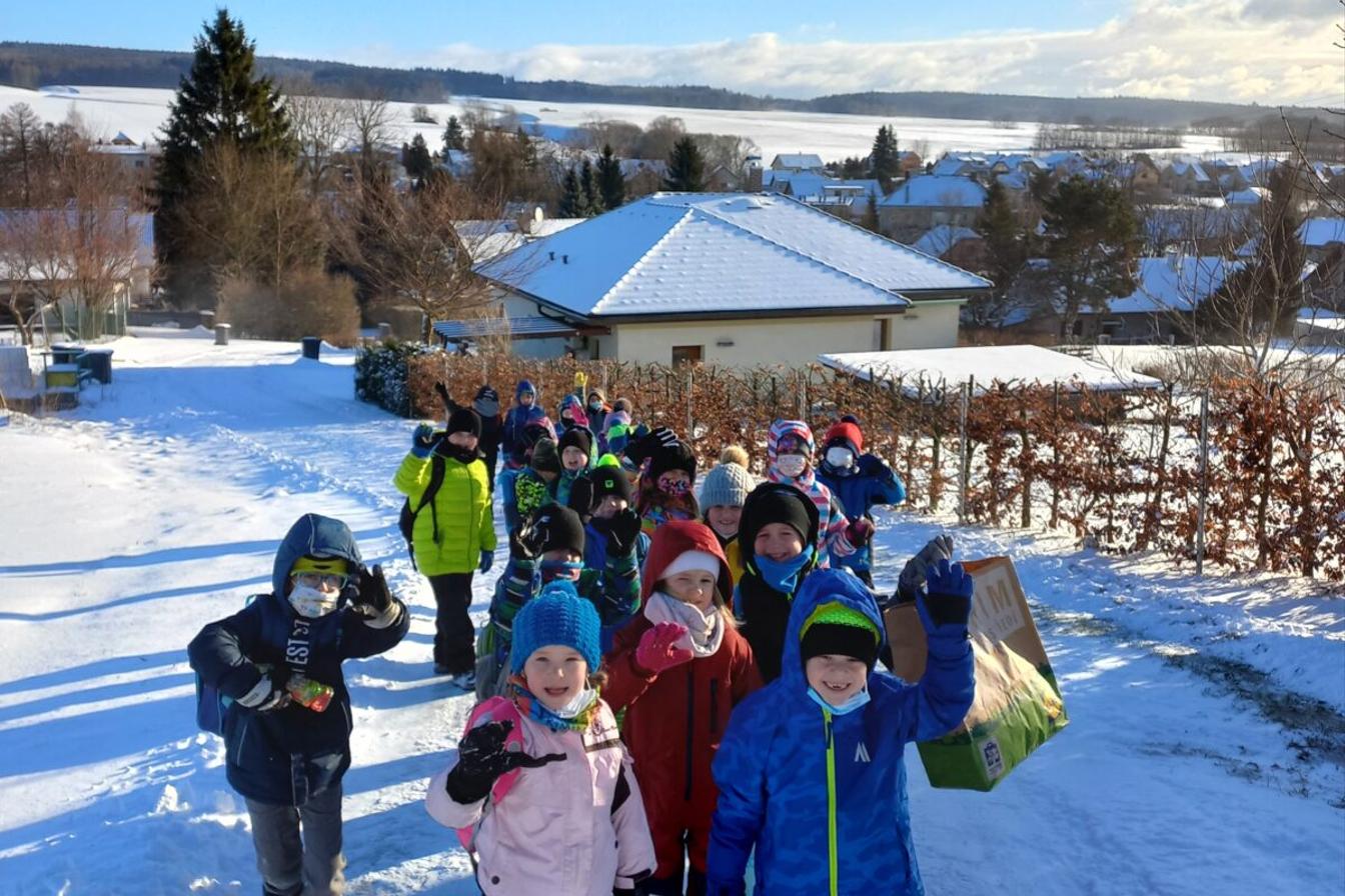 Opožděný "Vánoční les" v první třídě