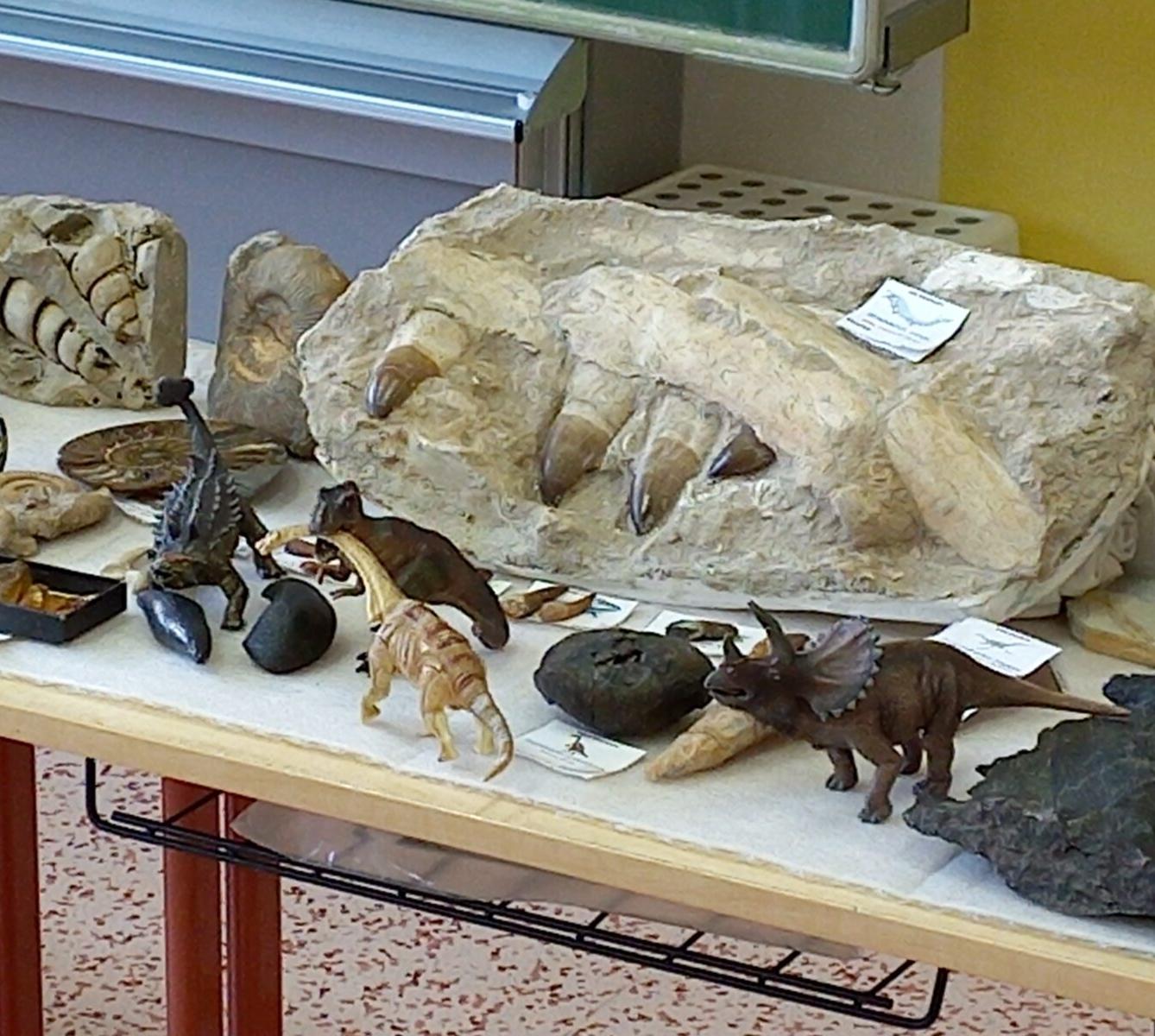 "Cesta do pravěku" v 1. třídě - 15