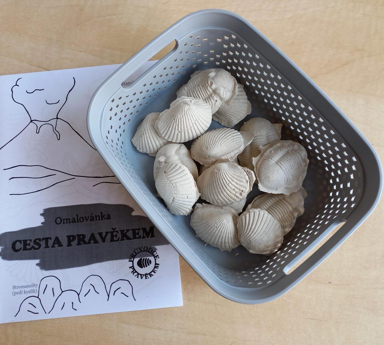 "Cesta do pravěku" v 1. třídě - 24