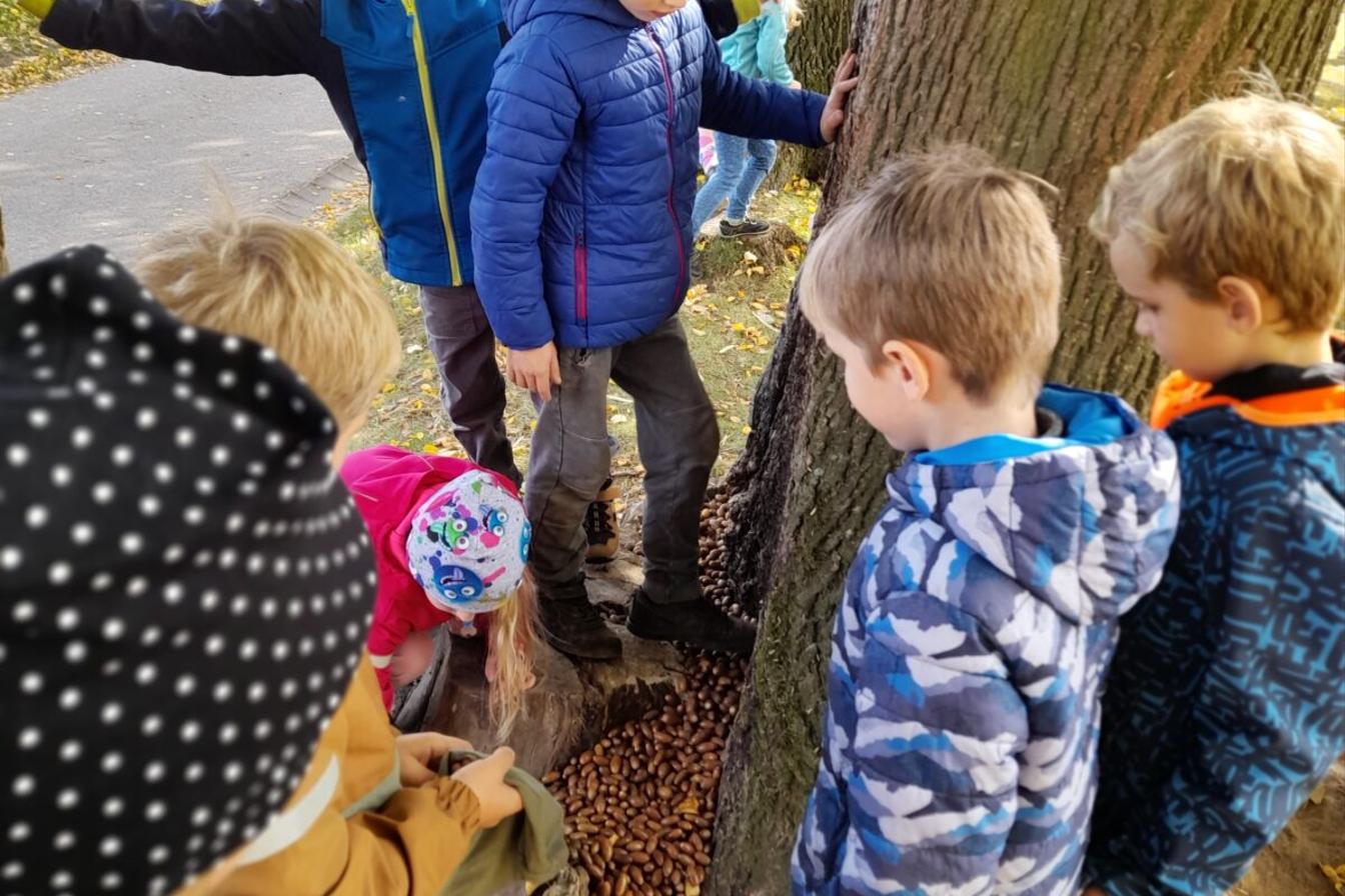 Říjen I. oddělení