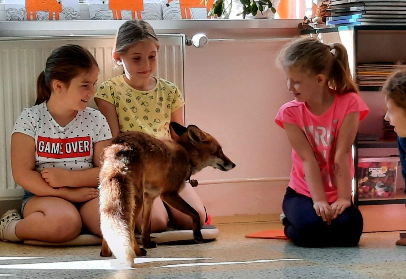 31. 5., Liška u prvňáčků - 10