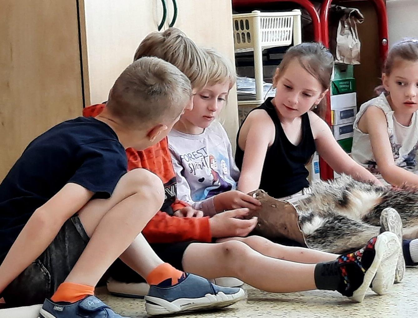 31. 5., Liška u prvňáčků - 17