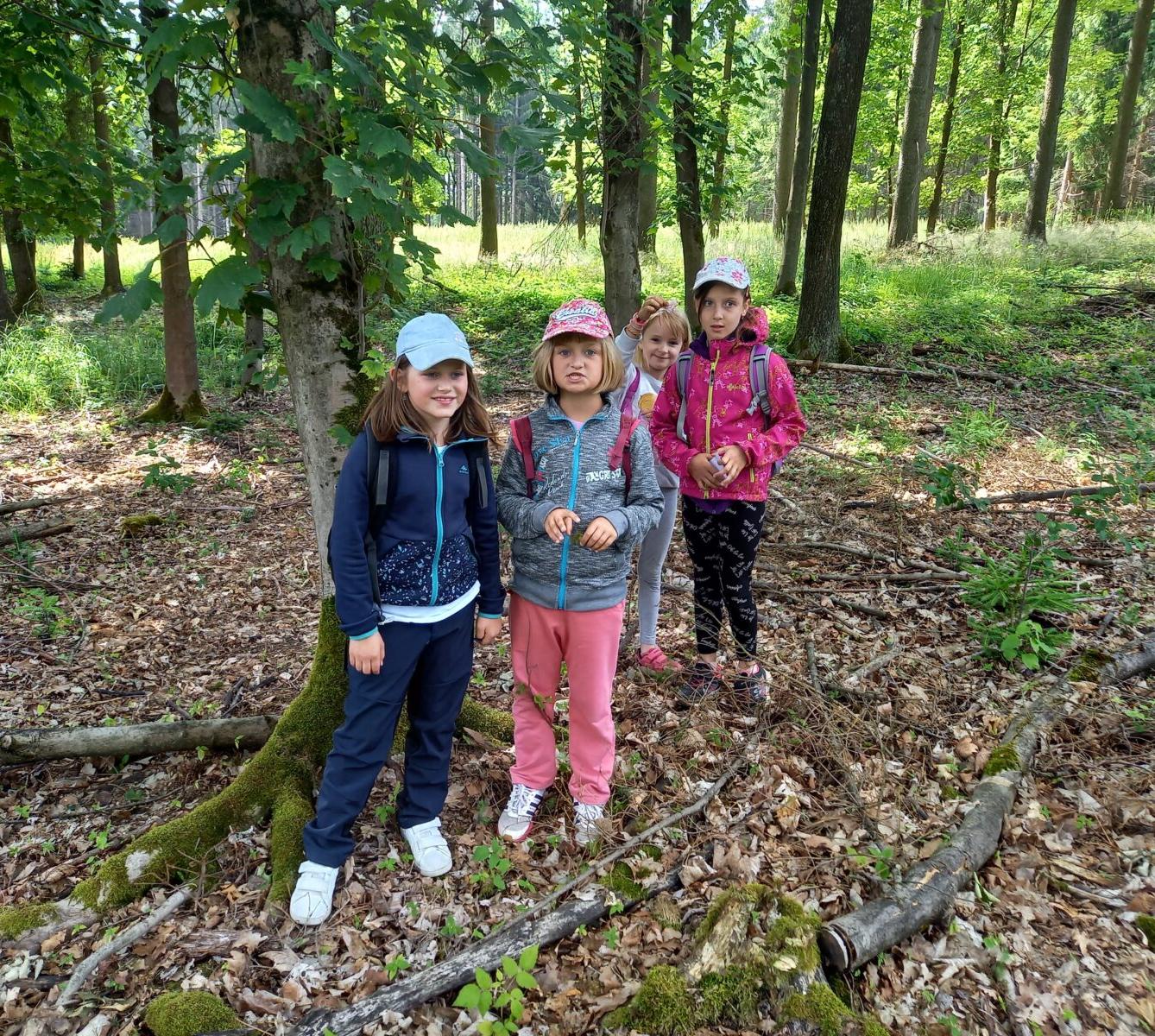 Pohádkový les na 1. stupni - 15