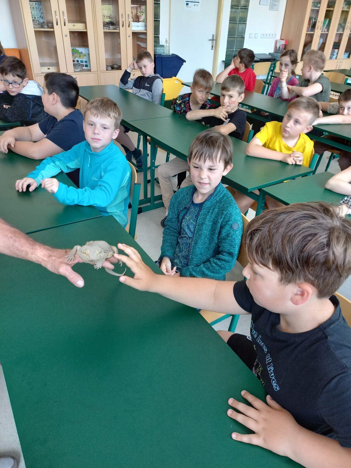 Exotická zvířata pro 3. a 4. třídu - 6