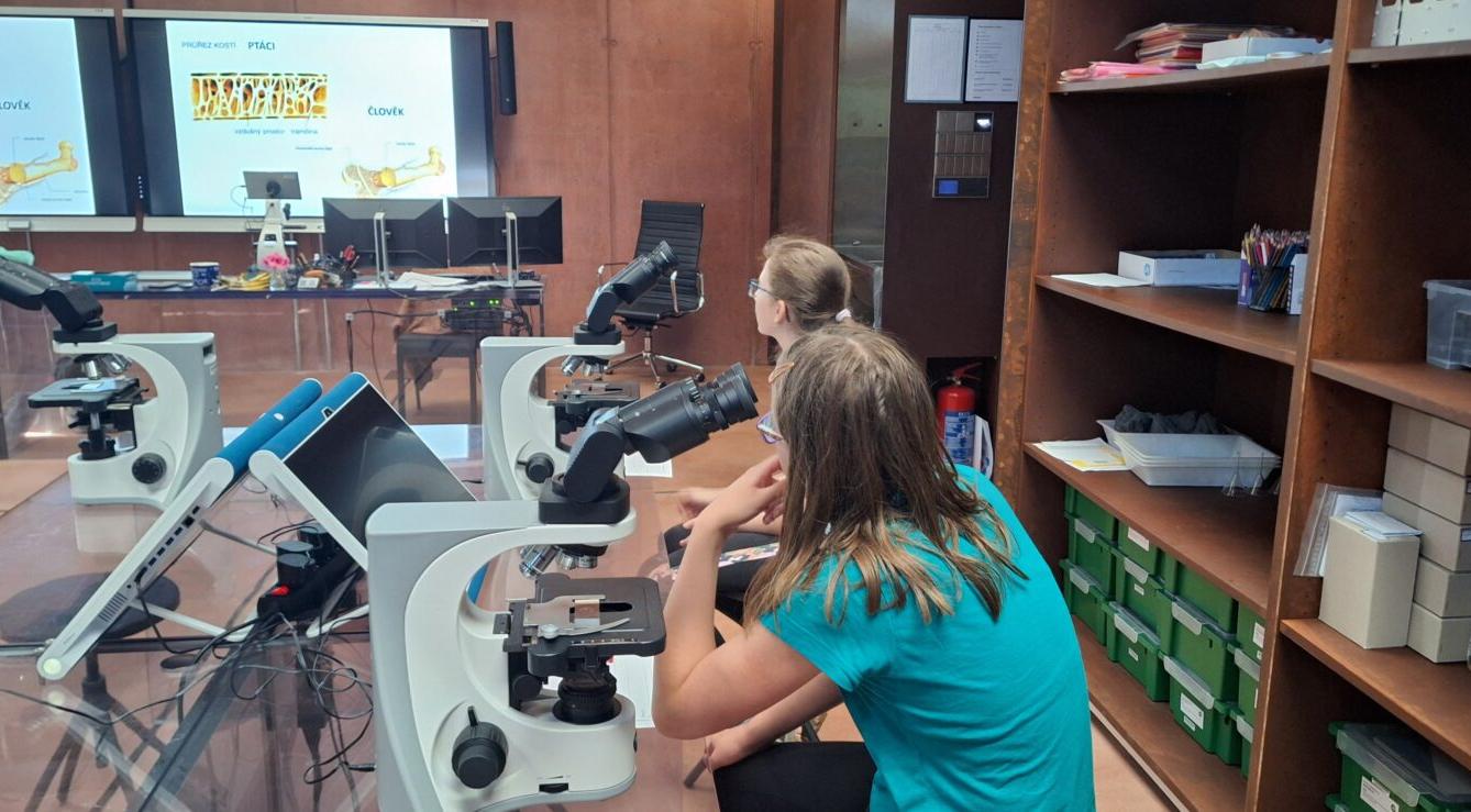 "Páťáci na cestách" - 3