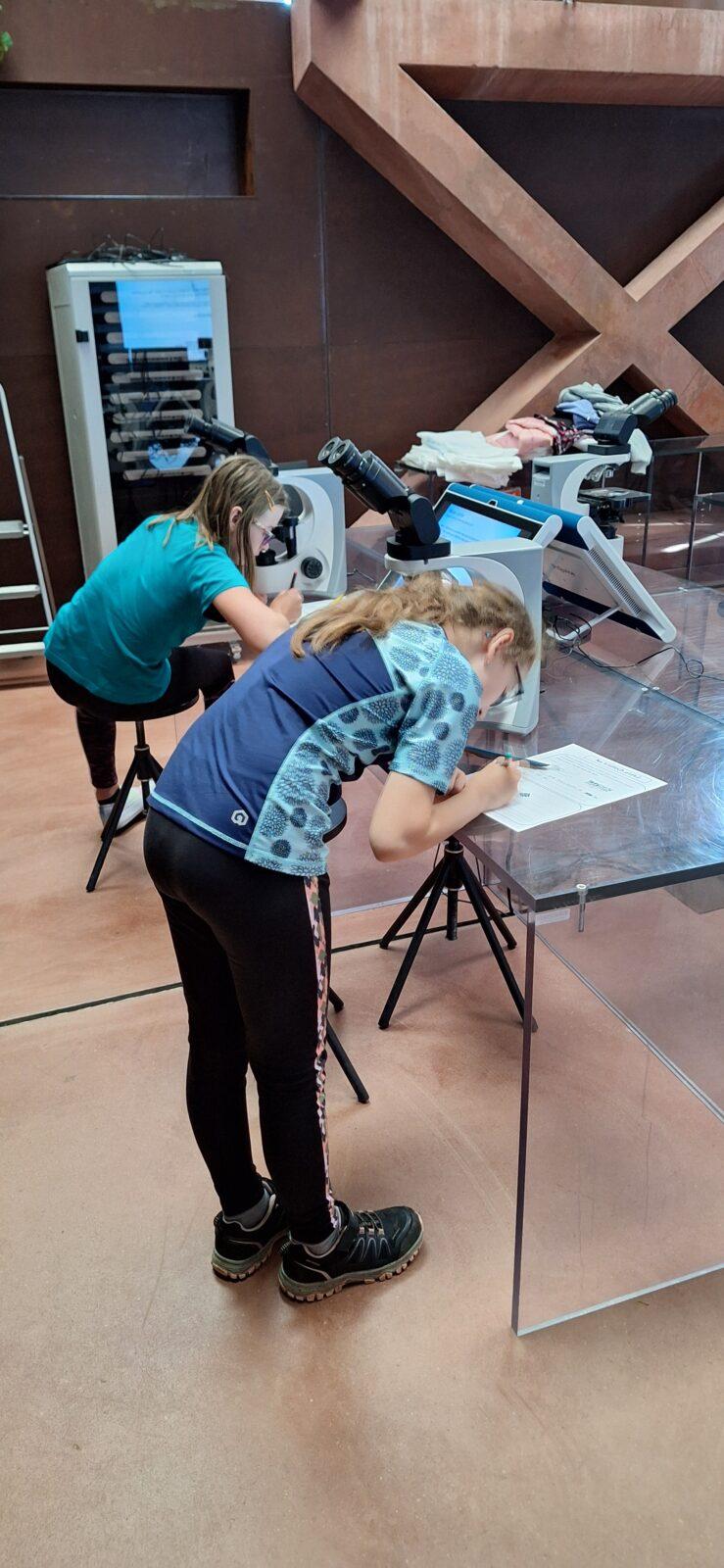 "Páťáci na cestách" - 5