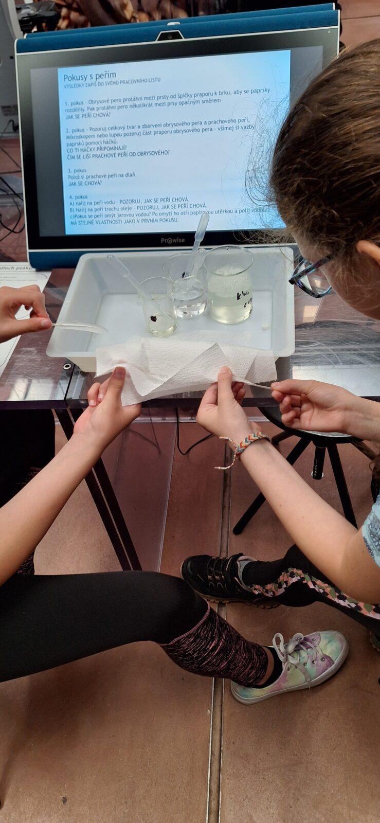 "Páťáci na cestách" - 10