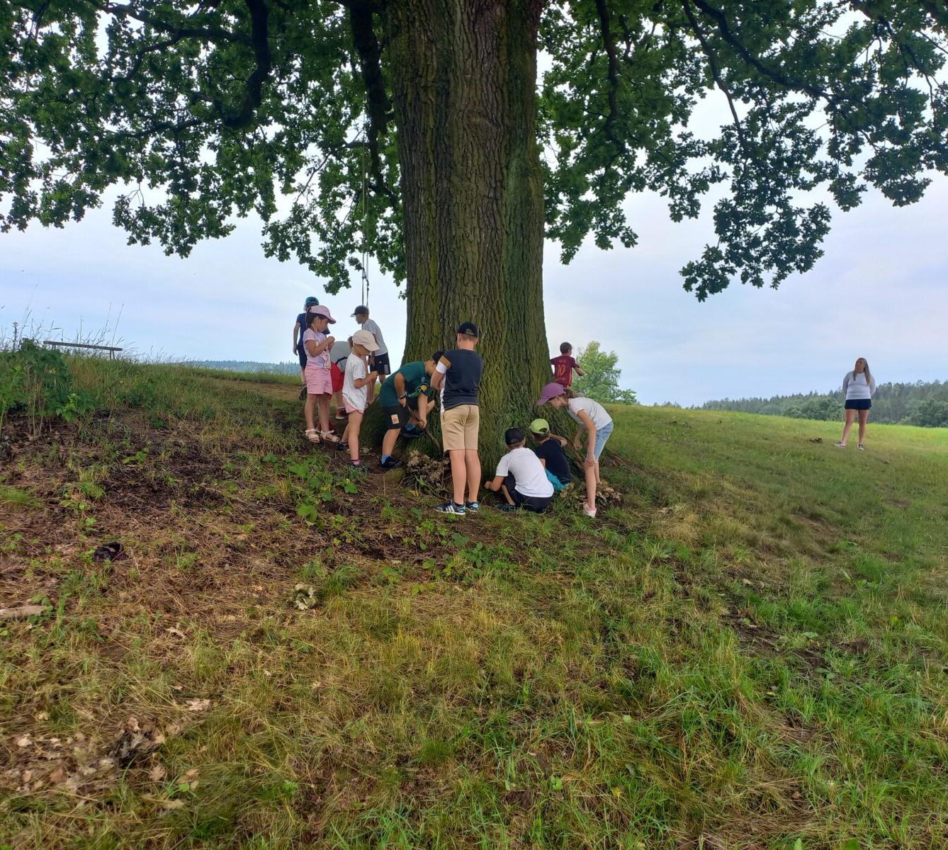 Příměstský tábor "Týden plný zábavy" - pátek 12. 7. - 11