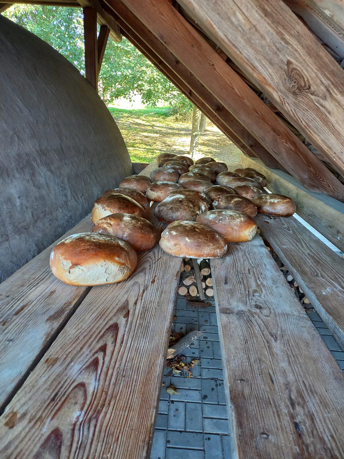Tematická dílna "Od klásku k pecnu" v 1. třídě - 24