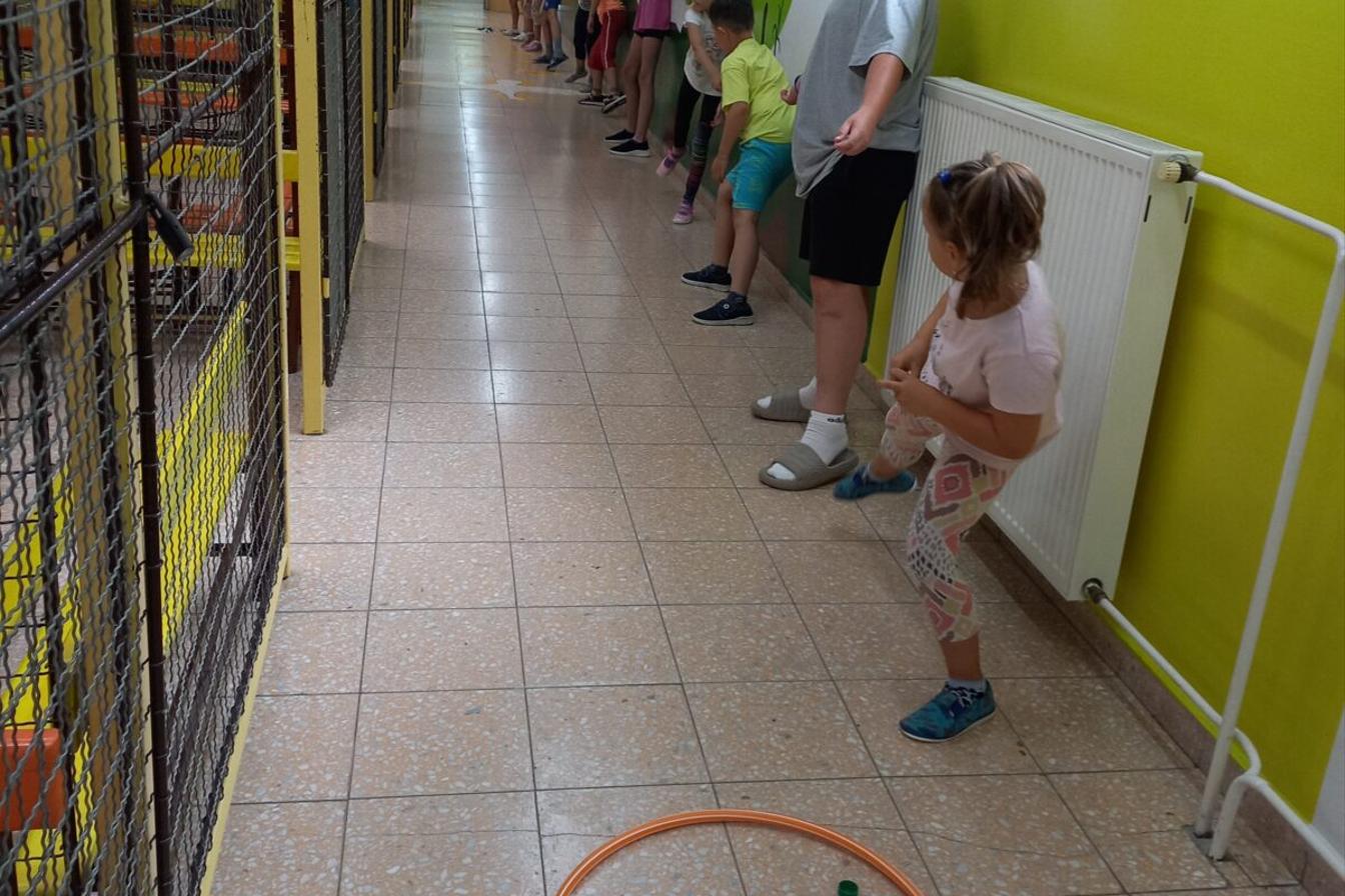 Týden plný zábavy - pondělí 7. 7.