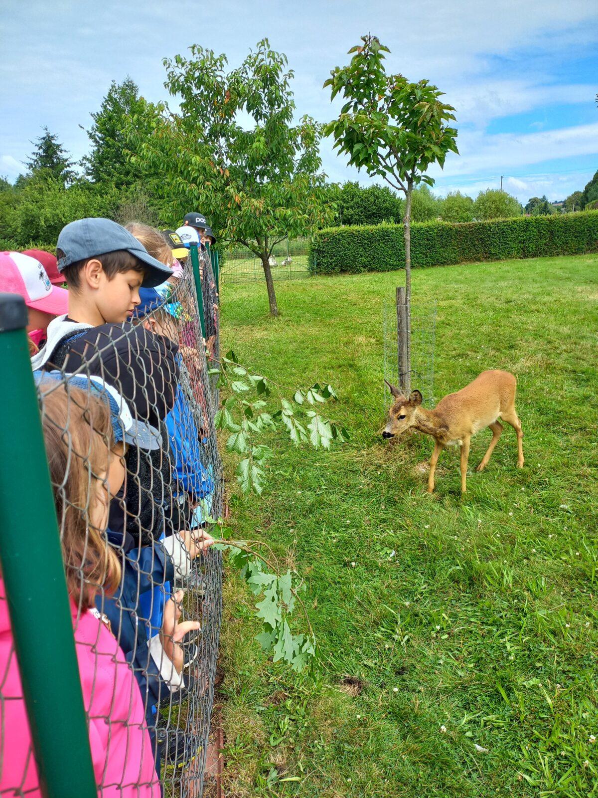 Týden plný zábavy - čtvrtek 10. 7. - 13