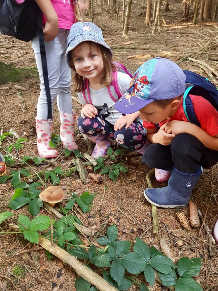 SOVIČKY: VÝPRAVA DO LESA - 14