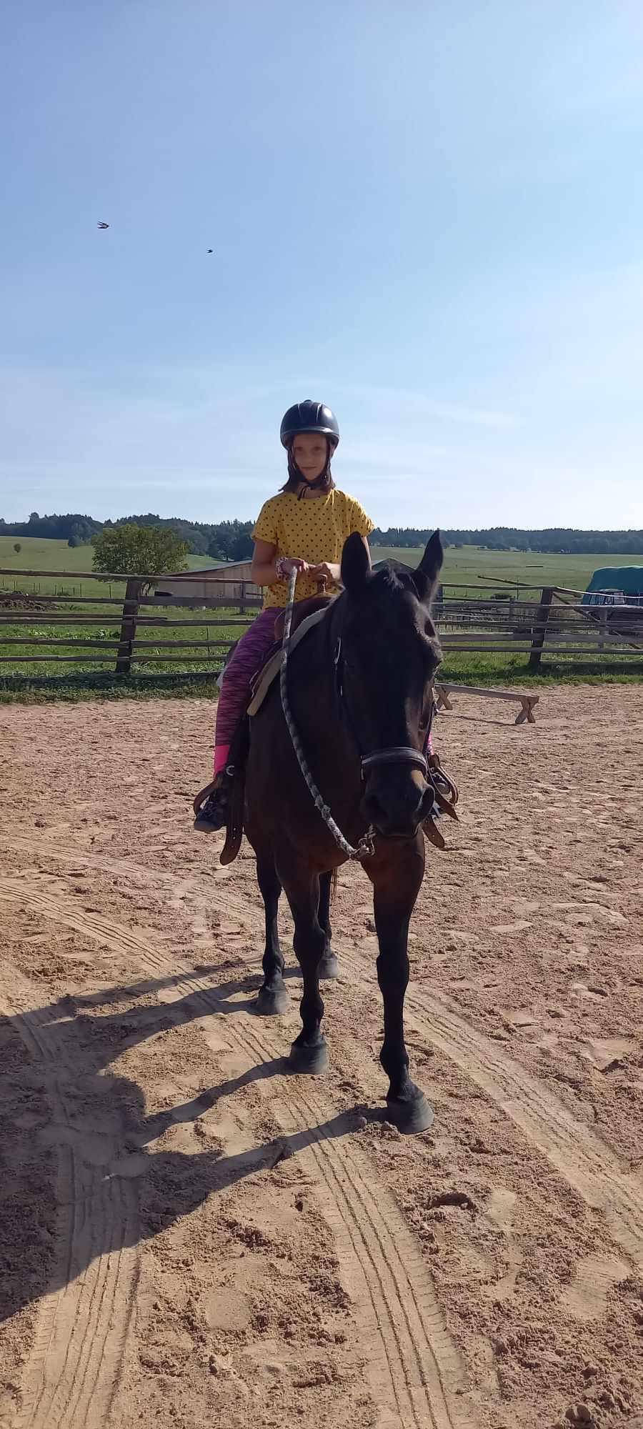 TÝDEN PLNÝ ZÁBAVY - 5. DEN - PÁTEK 23.8. 2024 - 16