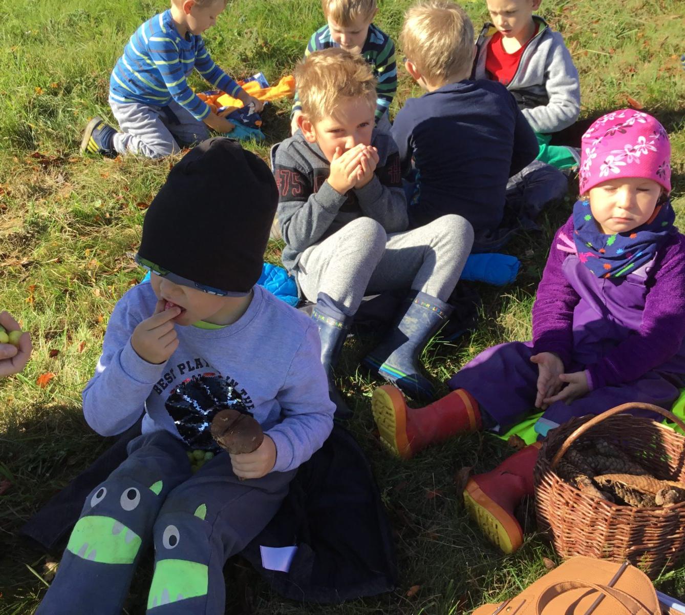 "Kam chodí broučci spát" - 17