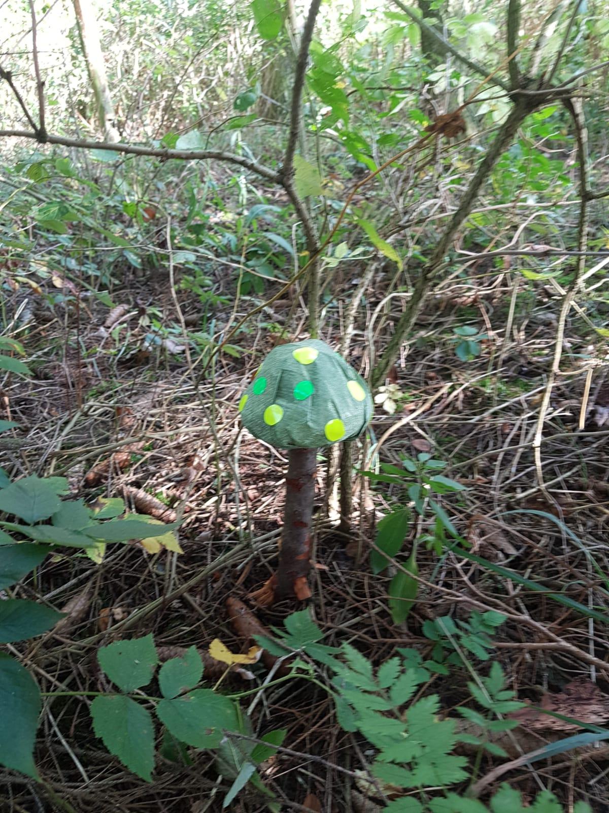 SOVIČKY: LES NÁS BAVÍ - 19