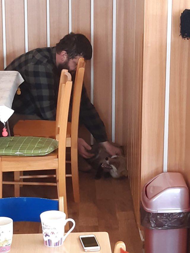 Tvoříme krmítka a LIŠKA - 20