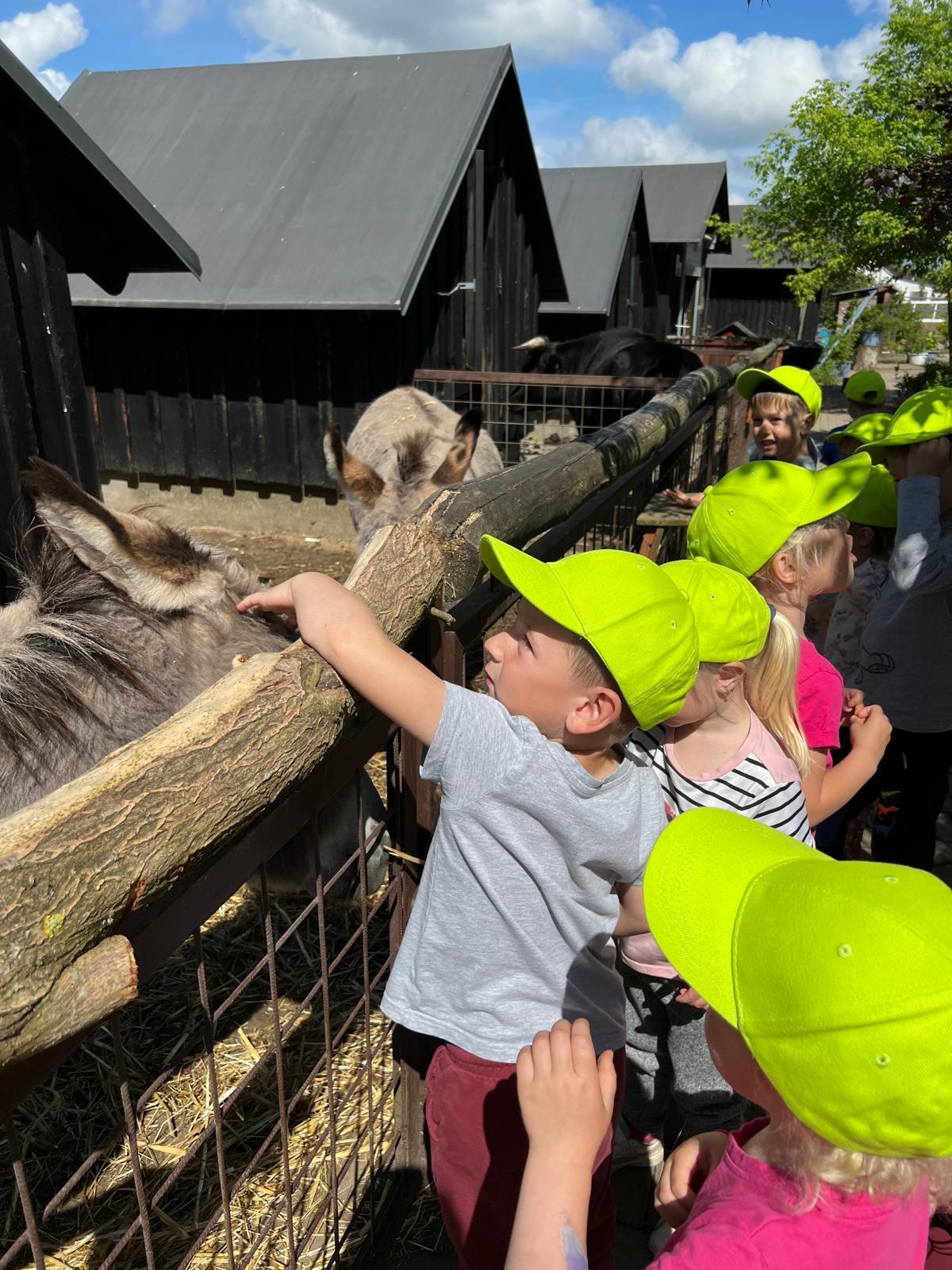 VÝLET NA BABIČČIN STATEK - 36