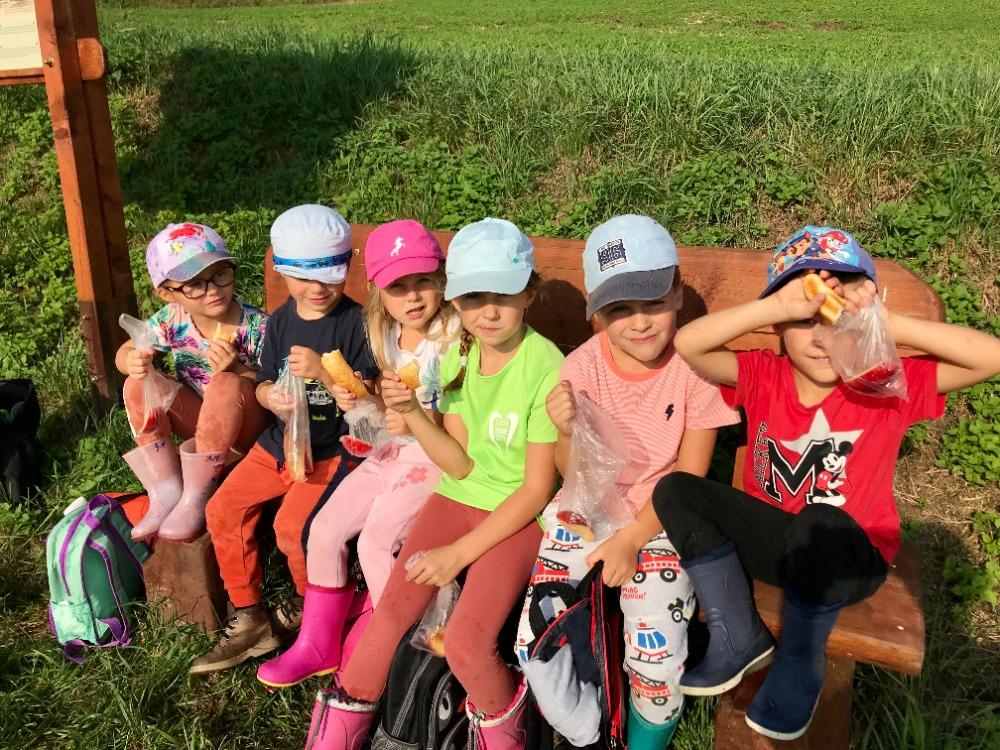 SOVIČKY: VÝPRAVA DO LESA - 21