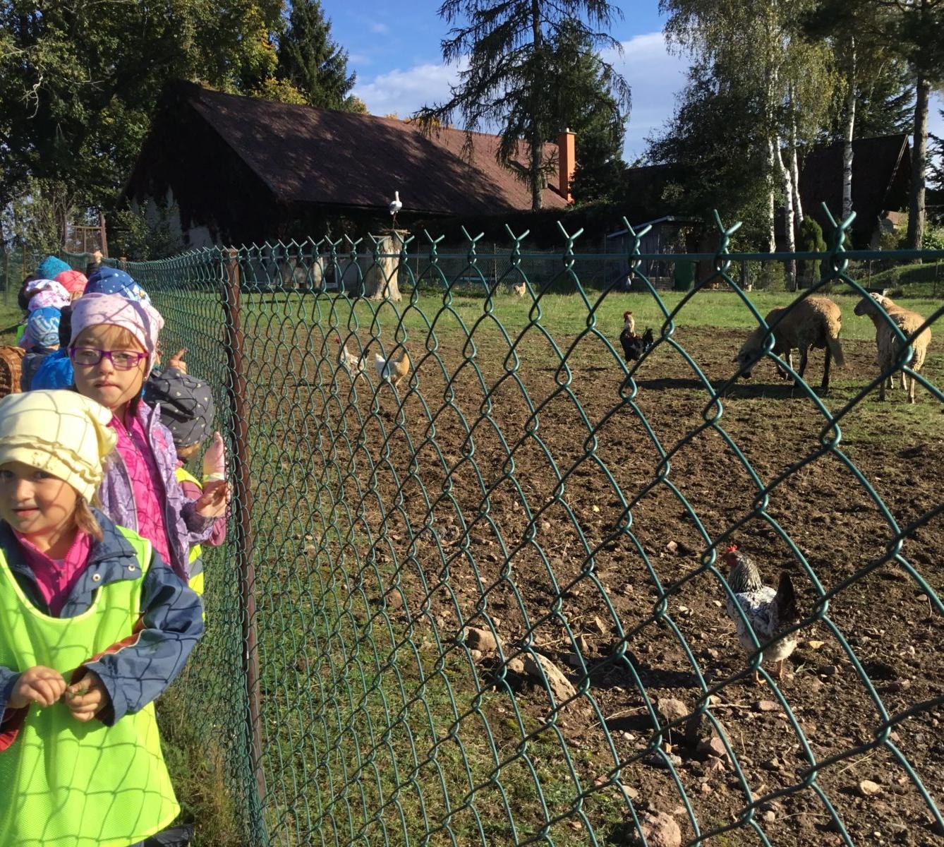 "Kam chodí broučci spát" - 23