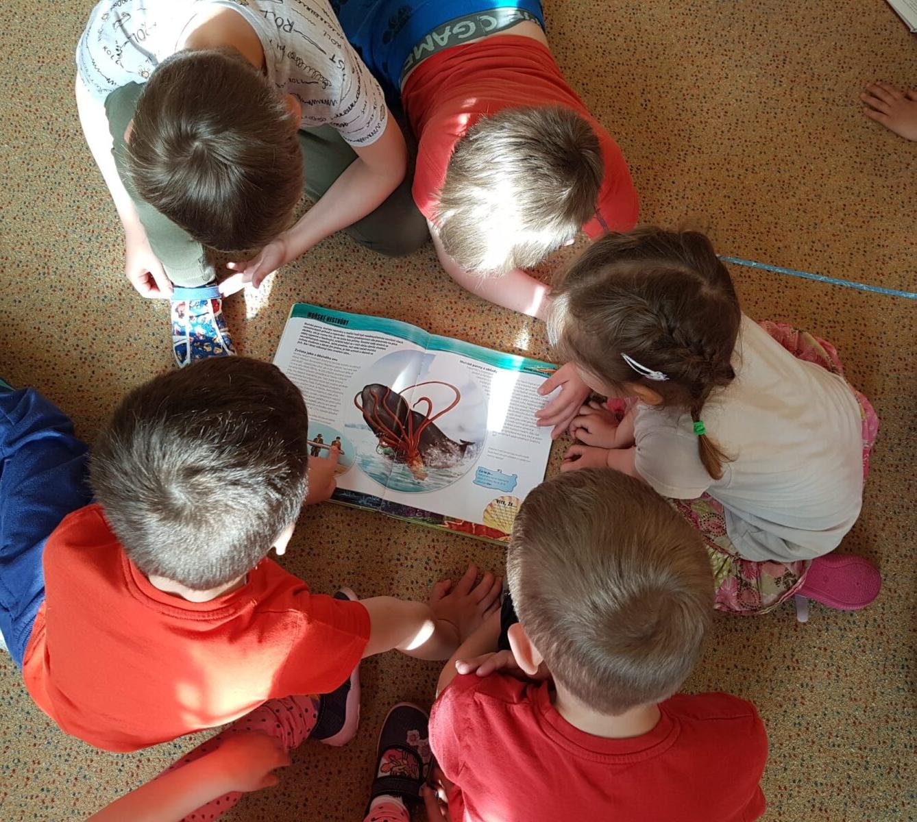 SOVIČKY: ROZVOJ ČTENÁŘSKÉ GRAMOTNOSTI V MŠ - ZVÍŘATA - 25