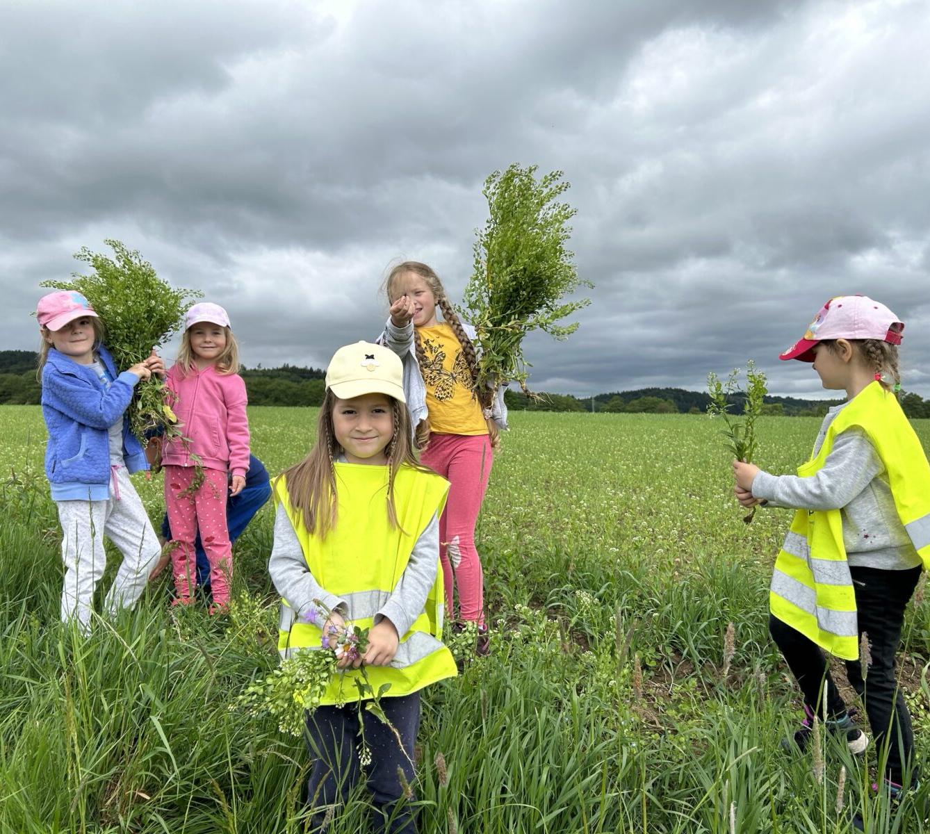 SOVIČKY: ,,JARNÍ LOUKA" - 26