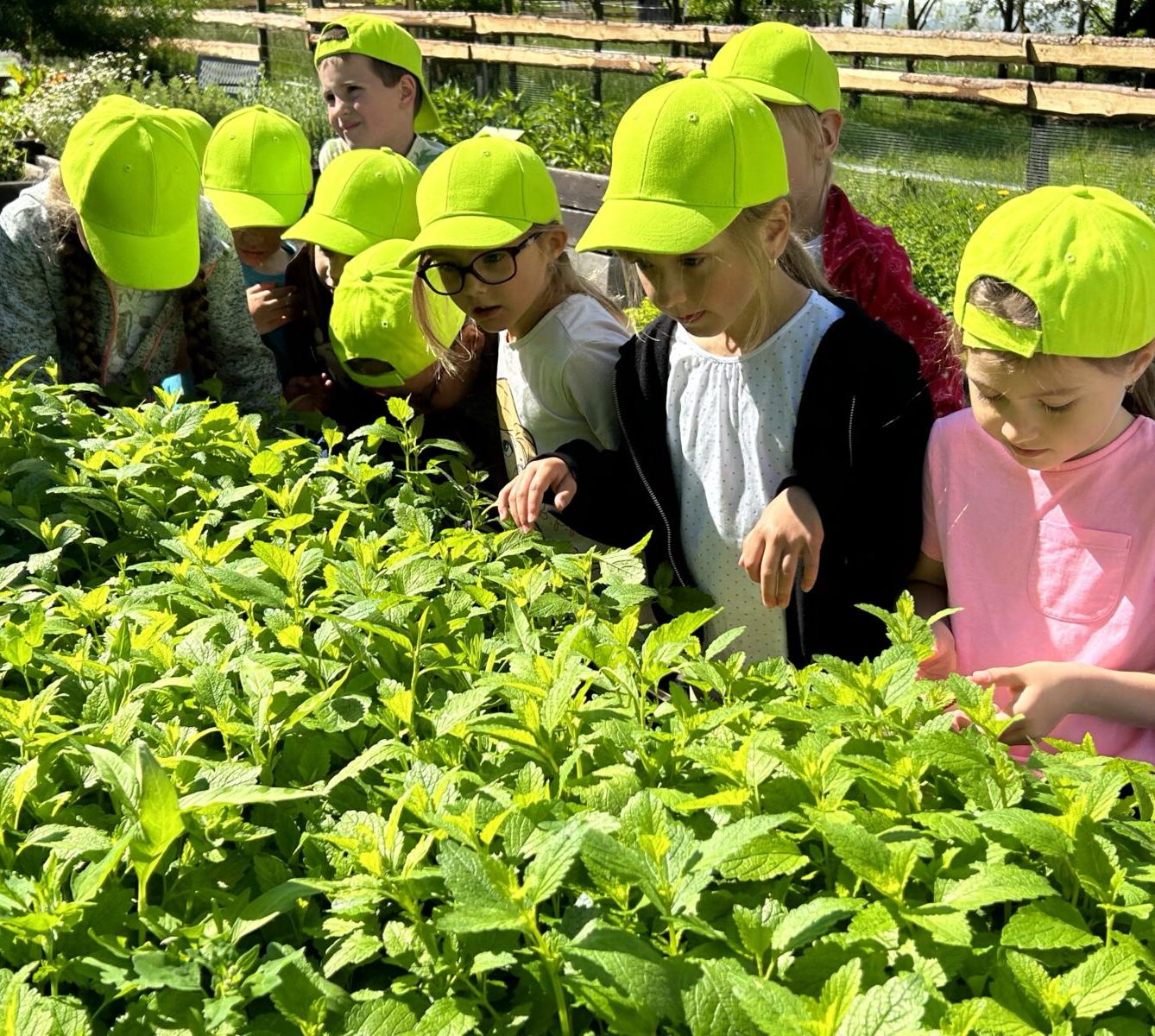 VÝLET NA BABIČČIN STATEK - 43