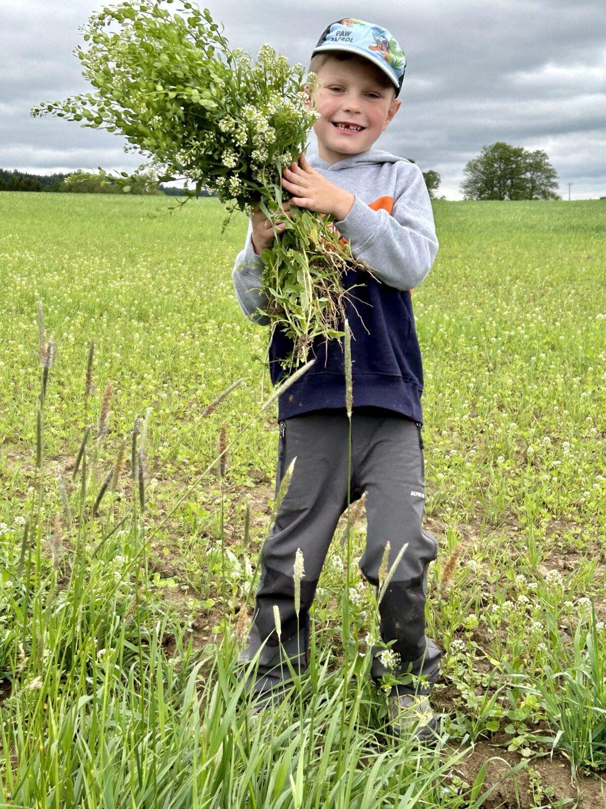 SOVIČKY: ,,JARNÍ LOUKA" - 33