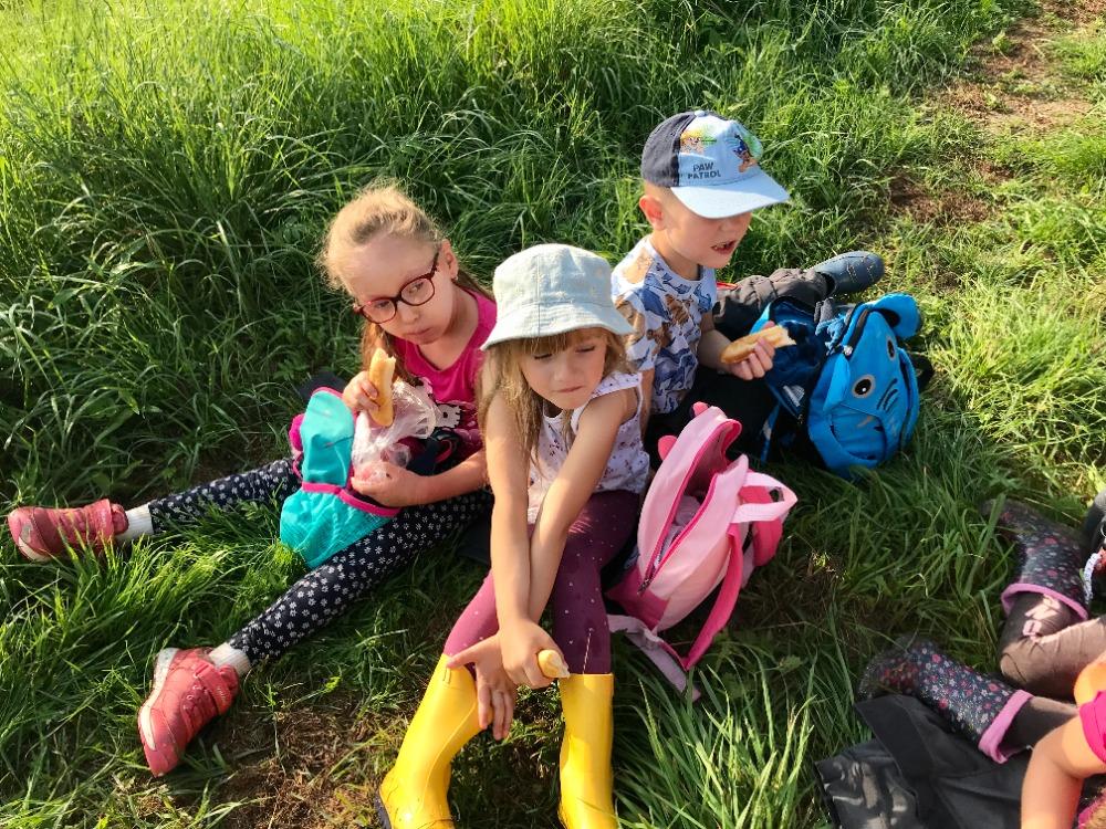 SOVIČKY: VÝPRAVA DO LESA - 22