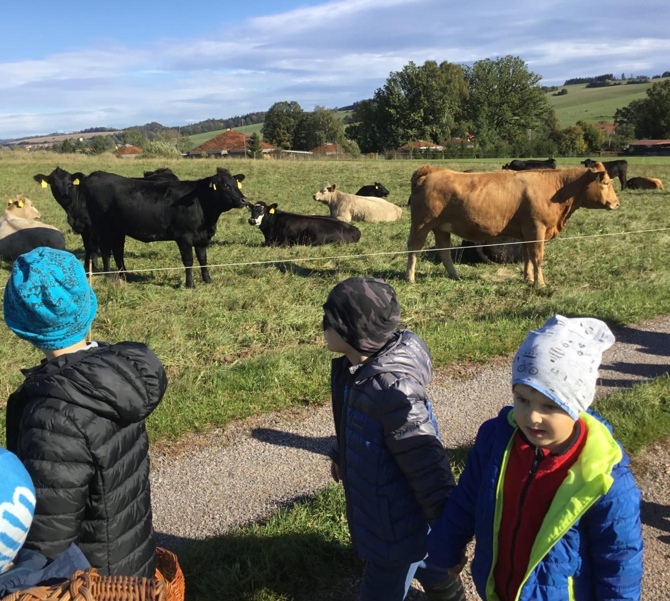 "Kam chodí broučci spát" - 33