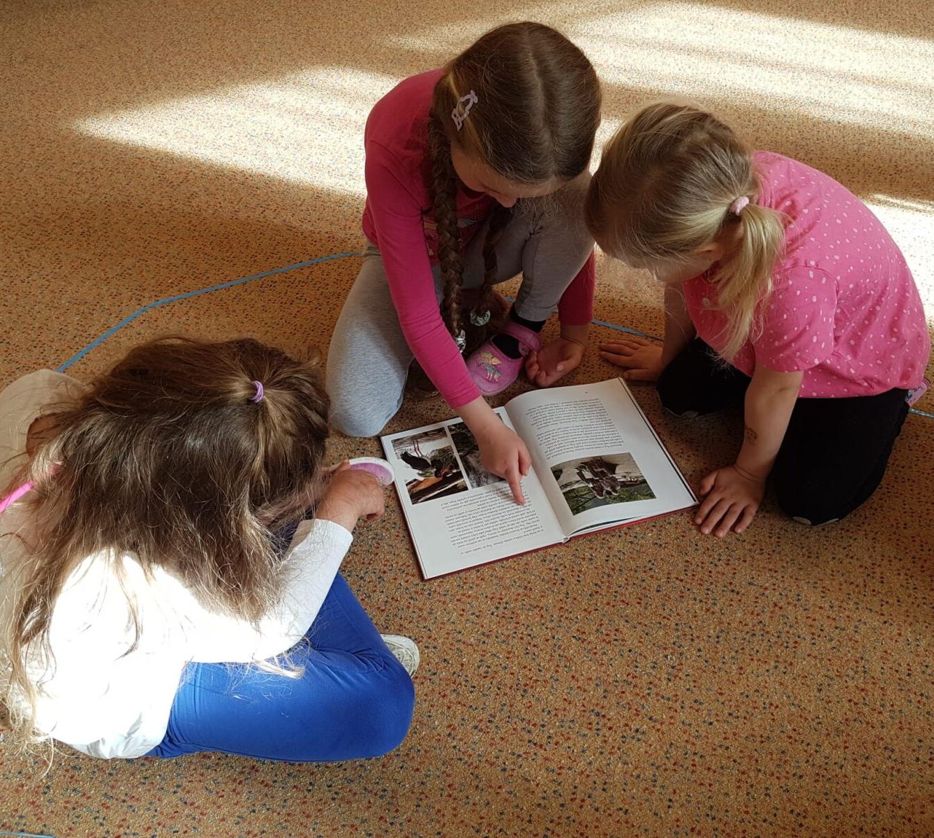 SOVIČKY: ROZVOJ ČTENÁŘSKÉ GRAMOTNOSTI V MŠ - ZVÍŘATA - 33