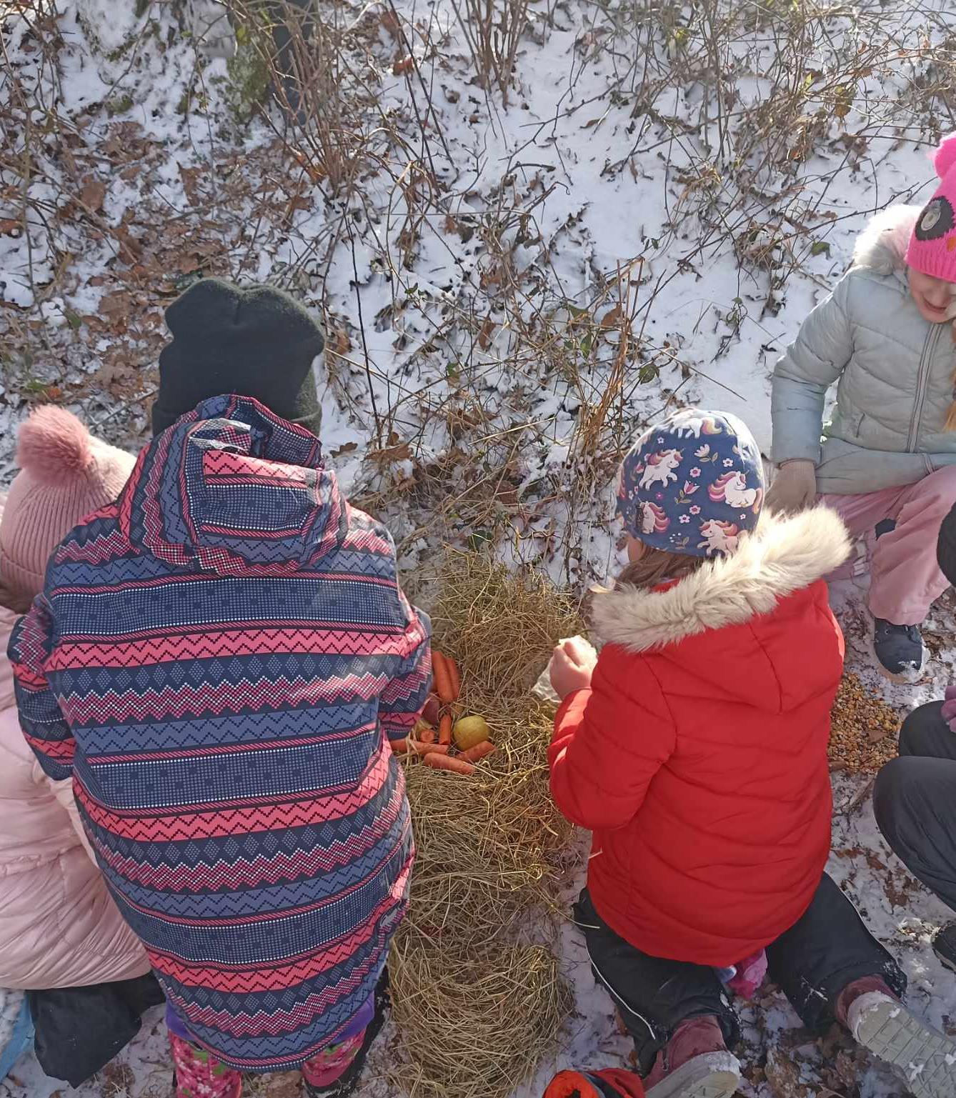 Krmení zvířat - naučná stezka - 3