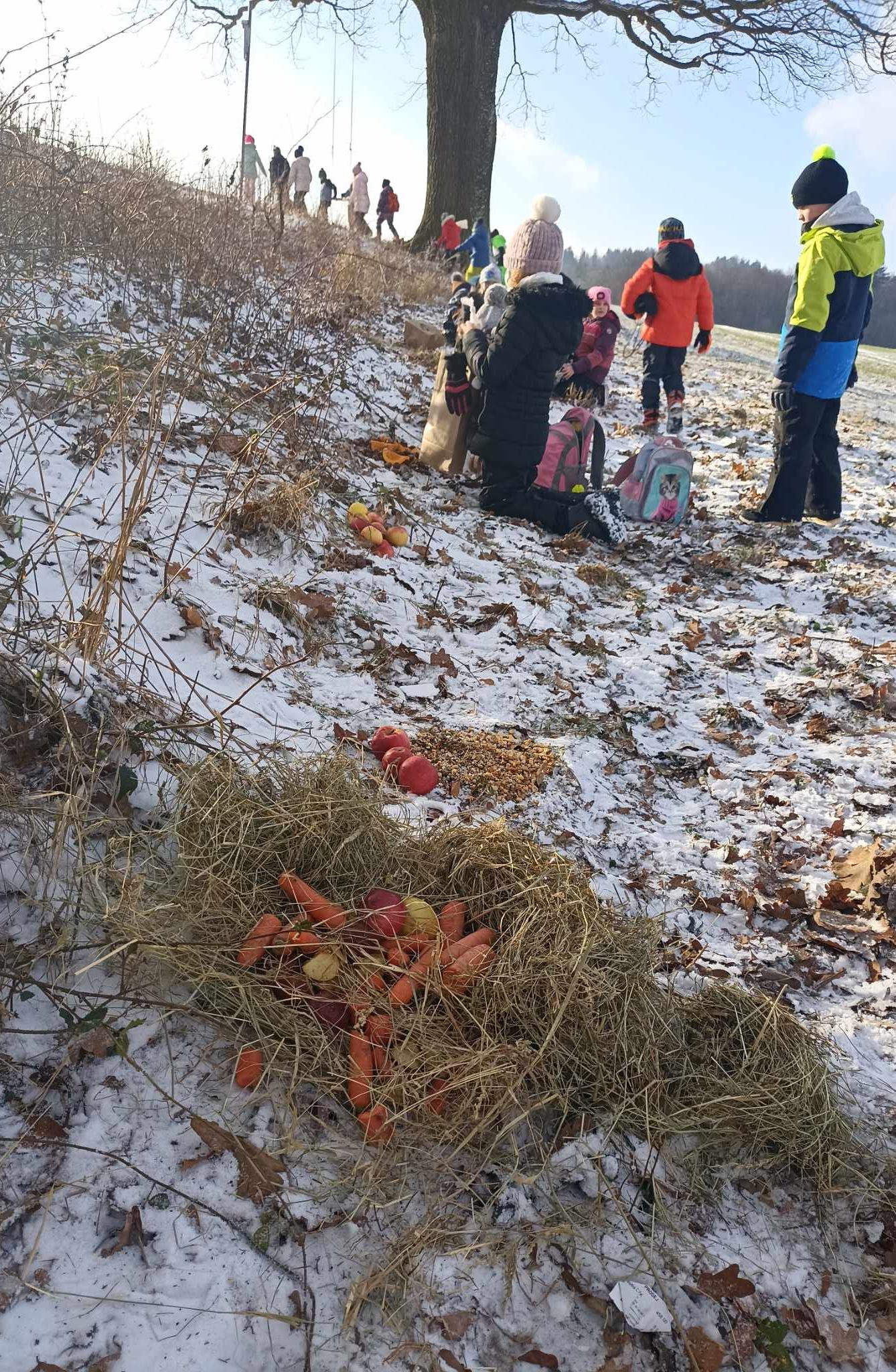 Krmení zvířat - naučná stezka - 11