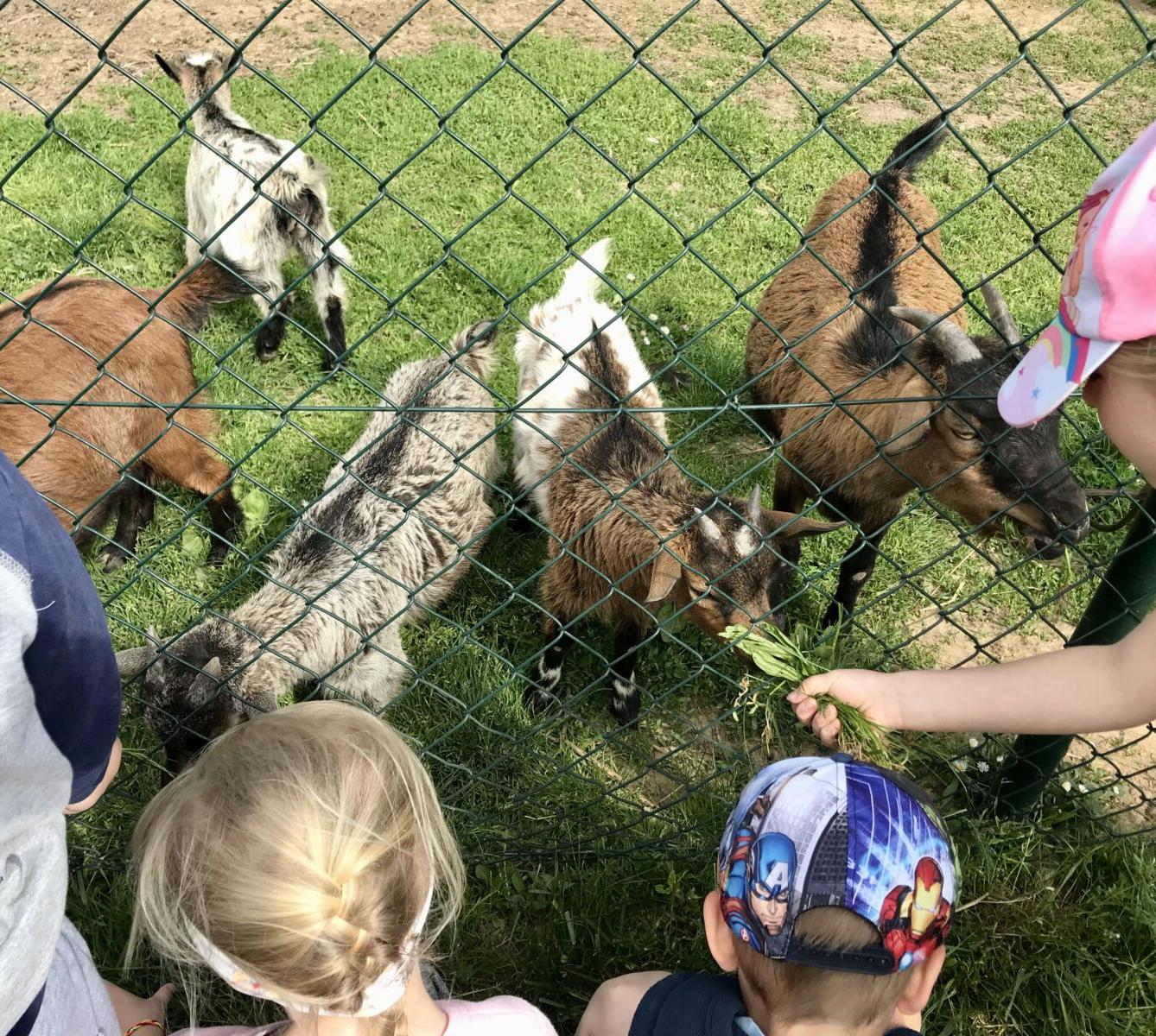 SOVIČKY: ,,MÁME RÁDI ZVÍŘATA" - 38